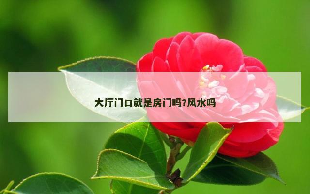 大厅门口就是房门吗?风水吗