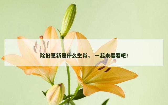 除旧更新是什么生肖， 一起来看看吧！