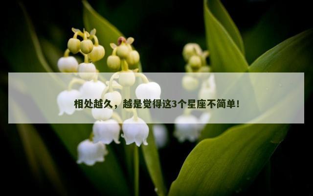 相处越久，越是觉得这3个星座不简单！