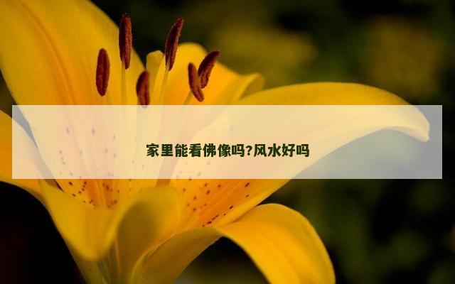 家里能看佛像吗?风水好吗