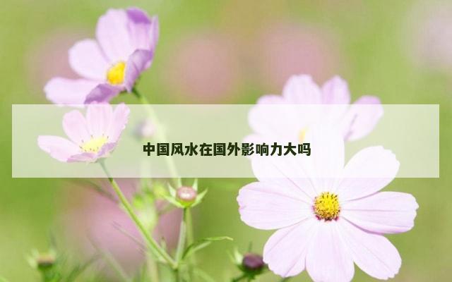 中国风水在国外影响力大吗