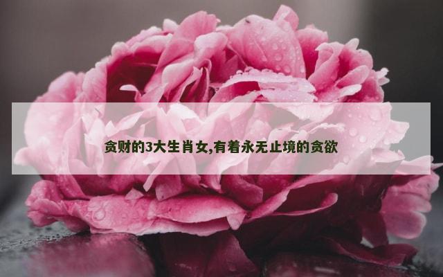 贪财的3大生肖女,有着永无止境的贪欲