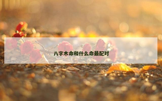 八字木命和什么命最配对
