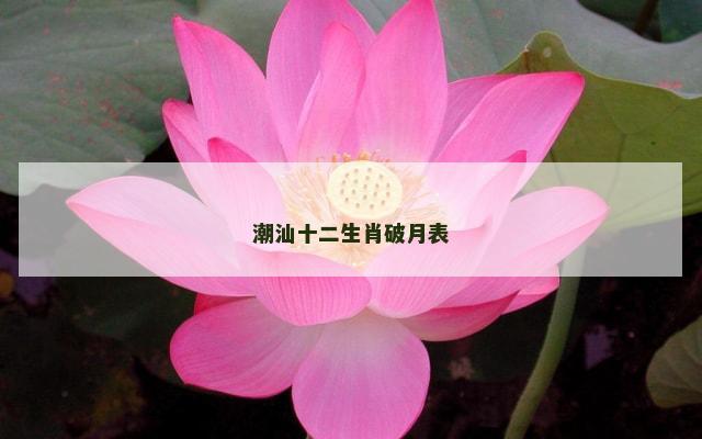 潮汕十二生肖破月表