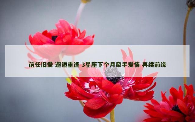 前任旧爱 邂逅重逢 3星座下个月牵手爱情 再续前缘