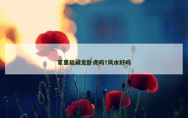 家里能藏龙卧虎吗?风水好吗