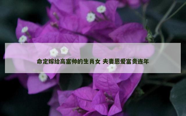 命定嫁给高富帅的生肖女 夫妻恩爱富贵连年