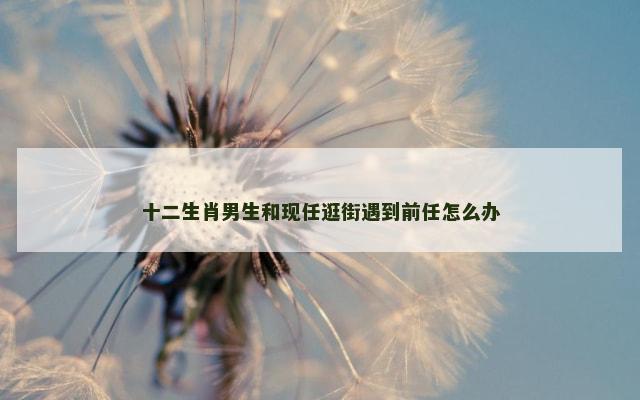 十二生肖男生和现任逛街遇到前任怎么办