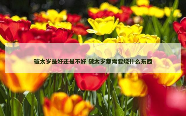 破太岁是好还是不好 破太岁都需要烧什么东西