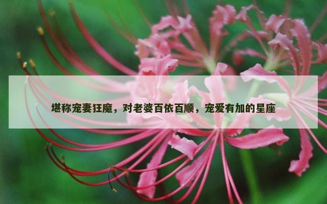 堪称宠妻狂魔，对老婆百依百顺，宠爱有加的星座