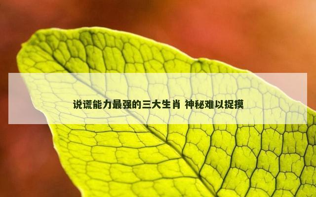 说谎能力最强的三大生肖 神秘难以捉摸