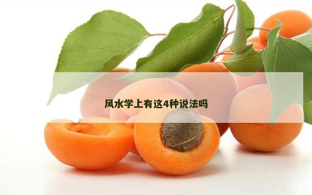 风水学上有这4种说法吗