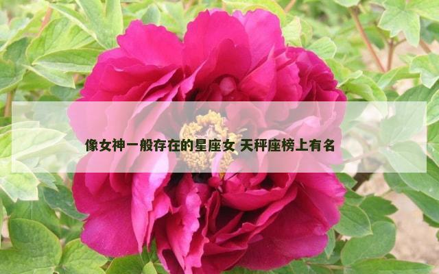 像女神一般存在的星座女 天秤座榜上有名 　　