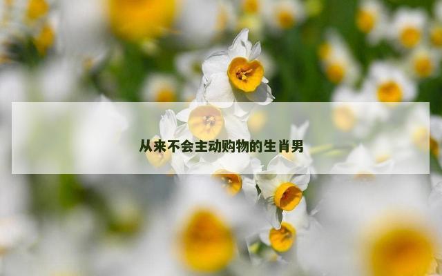从来不会主动购物的生肖男