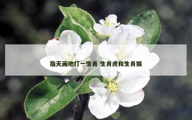指天画地打一生肖 生肖虎和生肖猴