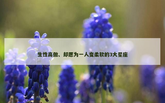 生性高傲、却愿为一人变柔软的3大星座