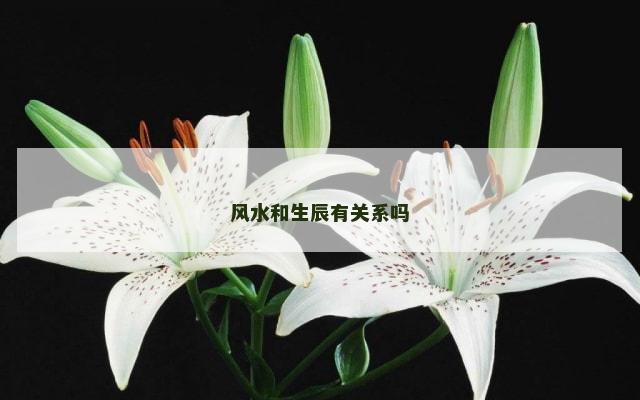 风水和生辰有关系吗