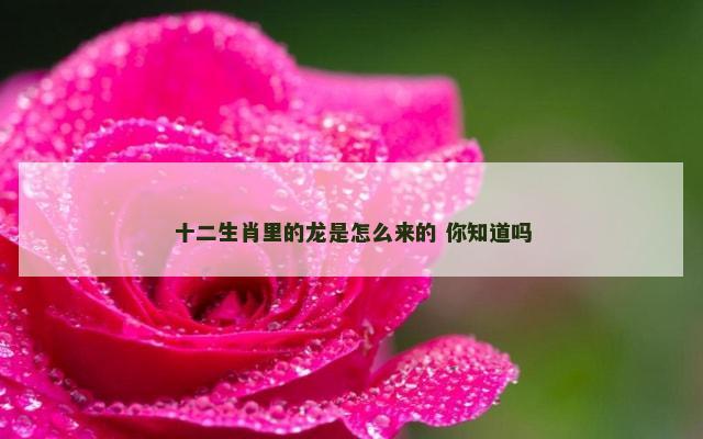 十二生肖里的龙是怎么来的 你知道吗
