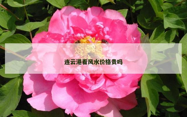 连云港看风水价格贵吗