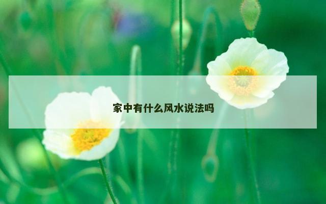 家中有什么风水说法吗