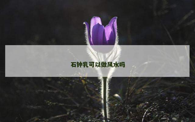石钟乳可以做风水吗