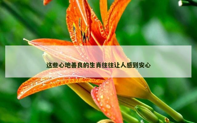 这些心地善良的生肖往往让人感到安心