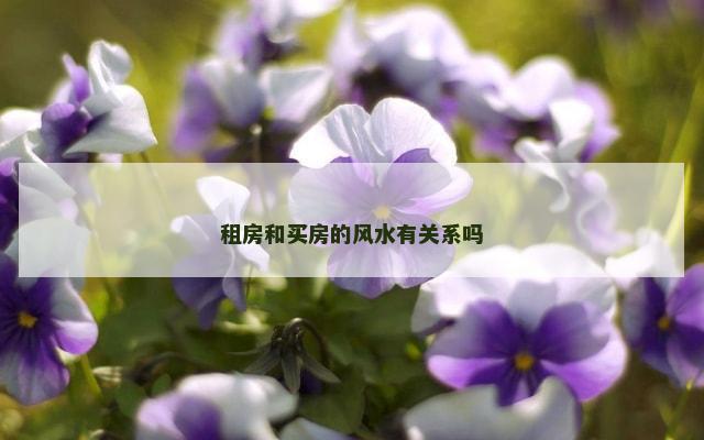 租房和买房的风水有关系吗