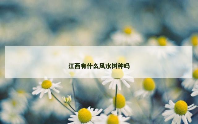 江西有什么风水树种吗