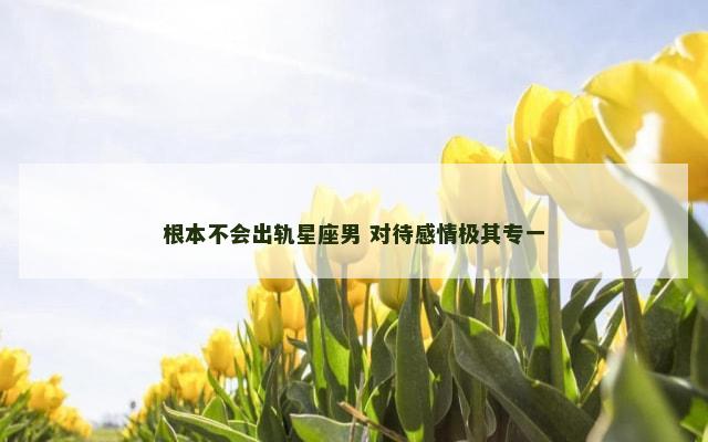 根本不会出轨星座男 对待感情极其专一
