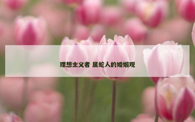 理想主义者 属蛇人的婚姻观