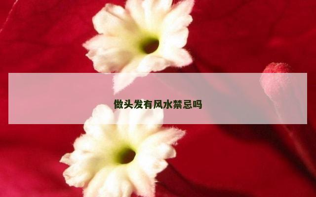 做头发有风水禁忌吗