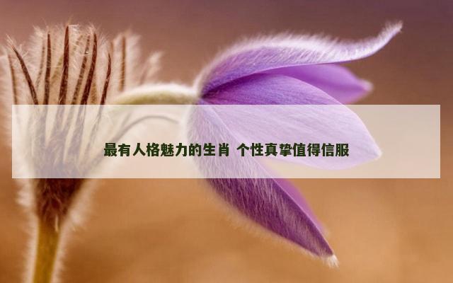 最有人格魅力的生肖 个性真挚值得信服