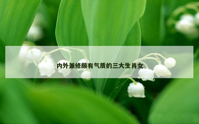 内外兼修颇有气质的三大生肖女