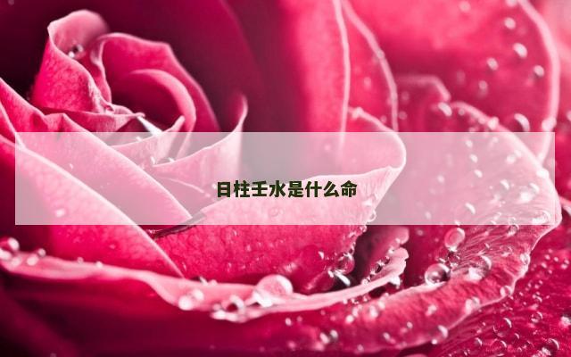 日柱壬水是什么命