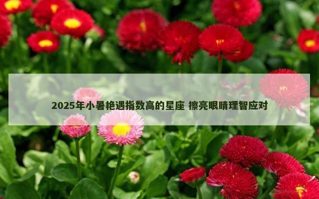 2025年小暑艳遇指数高的星座 擦亮眼睛理智应对