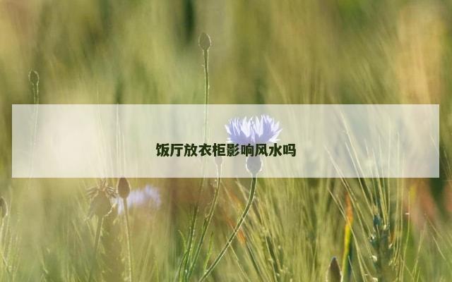 饭厅放衣柜影响风水吗