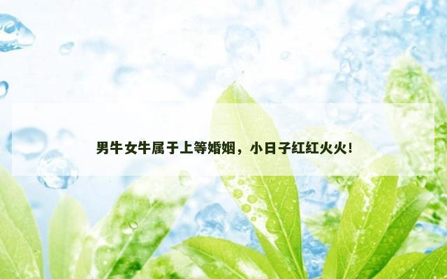 男牛女牛属于上等婚姻，小日子红红火火！