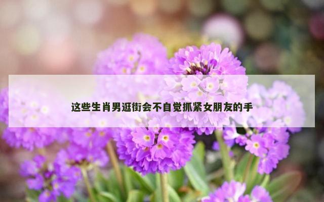 这些生肖男逛街会不自觉抓紧女朋友的手