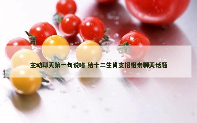 主动聊天第一句说啥 给十二生肖支招相亲聊天话题