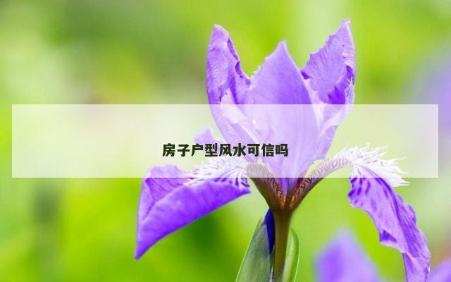 房子户型风水可信吗