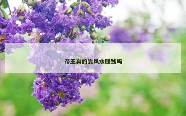 帝王真的靠风水赚钱吗