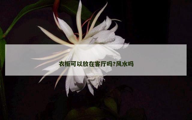 衣柜可以放在客厅吗?风水吗