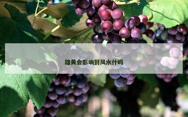 雄黄会影响到风水什吗
