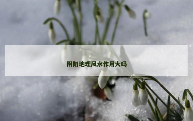 阴阳地理风水作用大吗