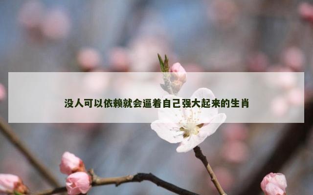 没人可以依赖就会逼着自己强大起来的生肖