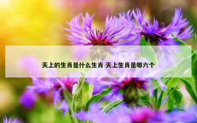 天上的生肖是什么生肖 天上生肖是哪六个