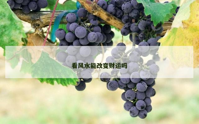看风水能改变财运吗