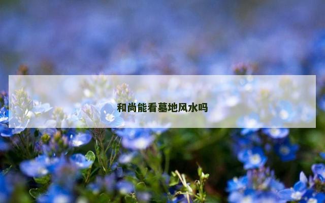 和尚能看墓地风水吗