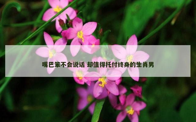 嘴巴笨不会说话 却值得托付终身的生肖男