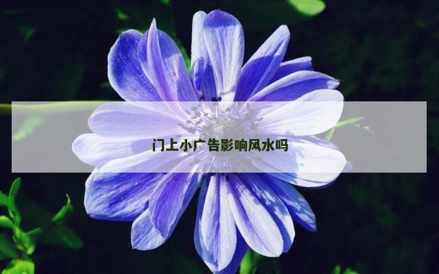 门上小广告影响风水吗